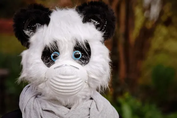 Vegadream Casino Tacaíocht